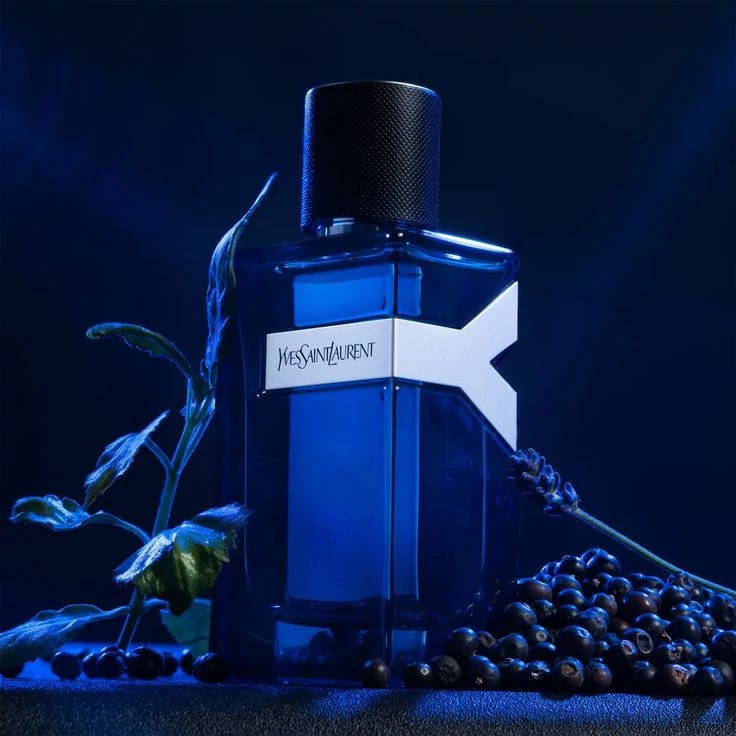 قیمت و خرید عطر مردانه ایو سن لورن وای- Y Yves Saint Laurent- رایحه آروماتیک و مدرن از برند EFF انگلستان | عطر | ادکلن | لوازم آرایشی | خارجی | اوریجینال | وارداتی_6ae4b5c24c1ed.webp