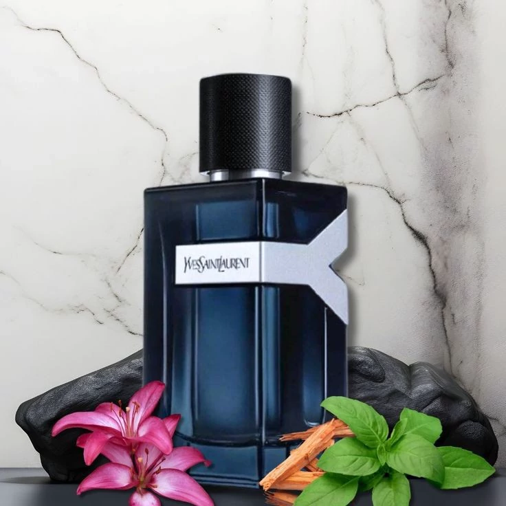 قیمت و خرید عطر مردانه ایو سن لورن وای- Y Yves Saint Laurent- رایحه آروماتیک و مدرن از برند EFF انگلستان | عطر | ادکلن | لوازم آرایشی | خارجی | اوریجینال | وارداتی_6ae4b5c409707.webp