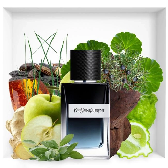 قیمت و خرید عطر مردانه ایو سن لورن وای- Y Yves Saint Laurent- رایحه آروماتیک و مدرن از برند EFF انگلستان | عطر | ادکلن | لوازم آرایشی | خارجی | اوریجینال | وارداتی_6ae4b5c4d0eb3.webp